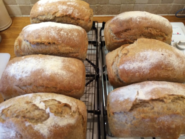 Well-Bread Teddington Loafs