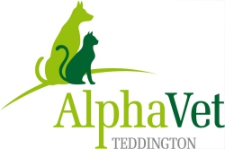AlphaVet Teddington Logo
