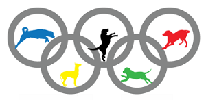 Teddington Dog Olympics 