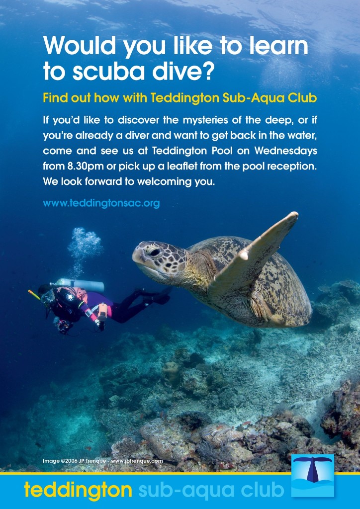 teddington diving poster