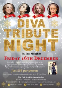 Diva Christmas Party in Teddington