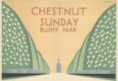 CHESTNUT SUNDAY PLANS FOR BUSHY PARK CHANGED