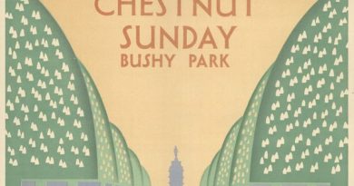 CHESTNUT SUNDAY PLANS FOR BUSHY PARK CHANGED