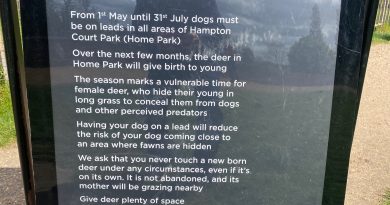 DOG LEADS IN BUSHY AND RICHMOND PARK COMPULSORY FROM TODAY (May 1)