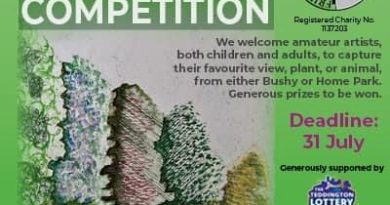 LAST CHANCE FOR BUDDING ARTISTS