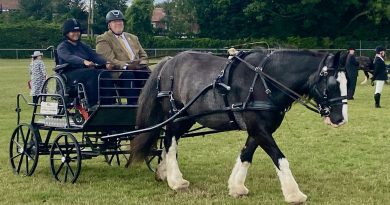 PARK LANE STABLES COACH SHORTLISTED FOR TOP AWARD
