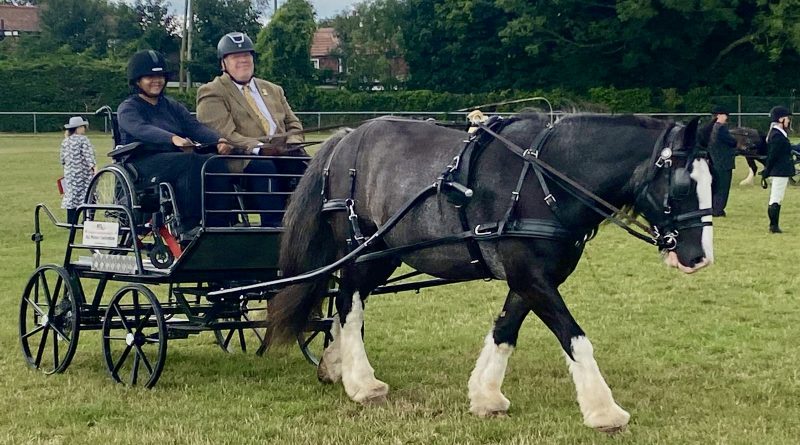 PARK LANE STABLES COACH SHORTLISTED FOR TOP AWARD