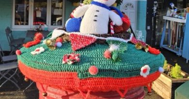 TEDDINGTON POST BOXES DECORATED WITH XMAS TOPPERS