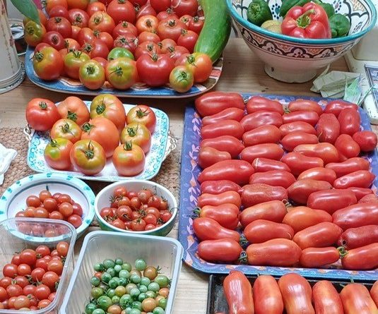 TEDDINGTON COUPLE FIGHT TO SAVE THEIR THREATENED ALLOTMENT