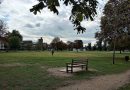 PERMANENT LIGHTING APPROVED FOR TWICKENHAM GREEN