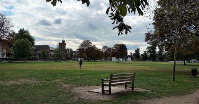 PERMANENT LIGHTING APPROVED FOR TWICKENHAM GREEN