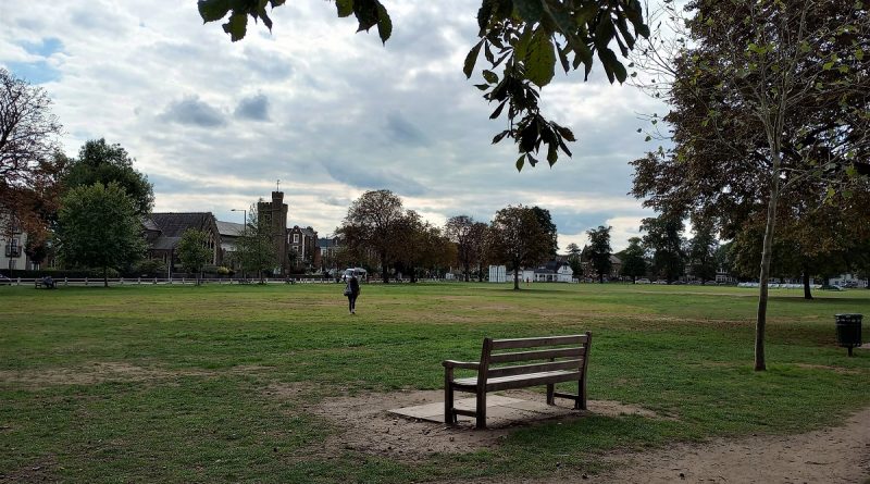 PERMANENT LIGHTING APPROVED FOR TWICKENHAM GREEN