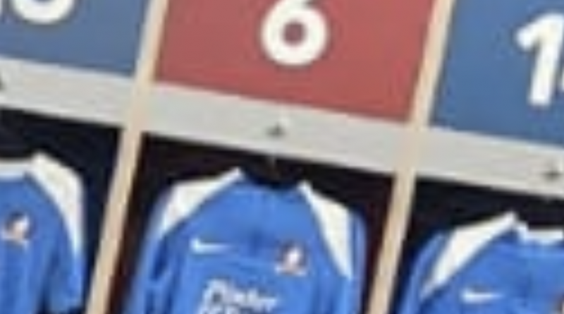 IS ENGLAND LIONESS SURPRISE STAR OF TED LASSO