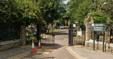 PETITION LAUNCHED TO SAVE TEDDINGTON ALLOTMENTS