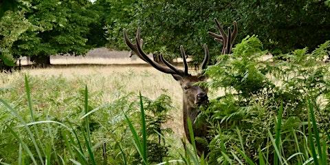 DISCOVER THE SECRETS OF BUSHY PARK