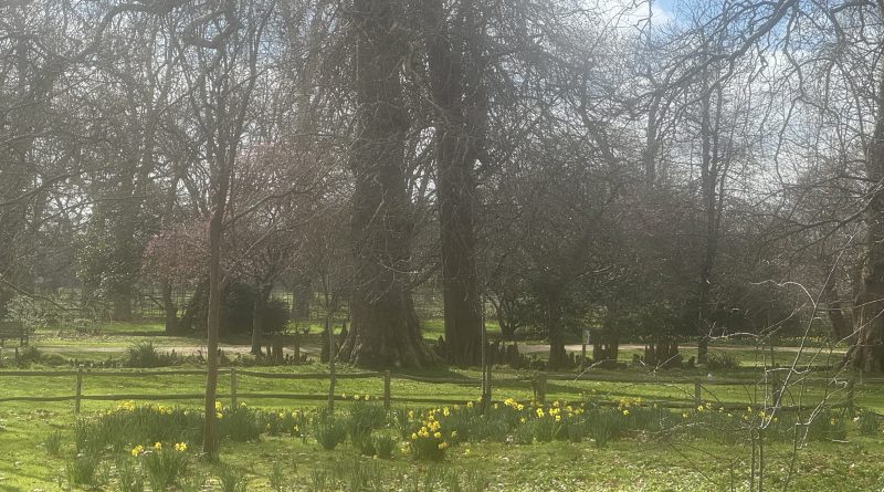 TEDDINGTON RECEIVES AN UNUSUAL VISITOR – SUNSHINE