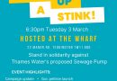 THAMES SEWAGE PUMP – CAMPAIGN UPDATE