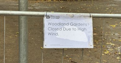 HIGH WINDS CLOSE WOODLAND GARDENS IN BUSHY PARK