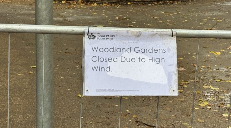HIGH WINDS CLOSE WOODLAND GARDENS IN BUSHY PARK