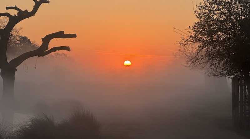 SUNRISE AT SIX TODAY IN BUSHY PARK
