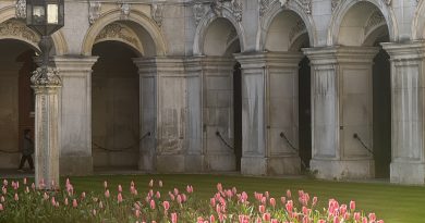 PHOTO SPECIAL – TULIPS AT HAMPTON COURT PALACE