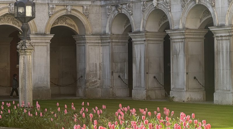 PHOTO SPECIAL – TULIPS AT HAMPTON COURT PALACE
