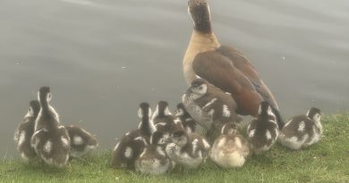 FAMILY OUTING ON GOOD FRIDAY