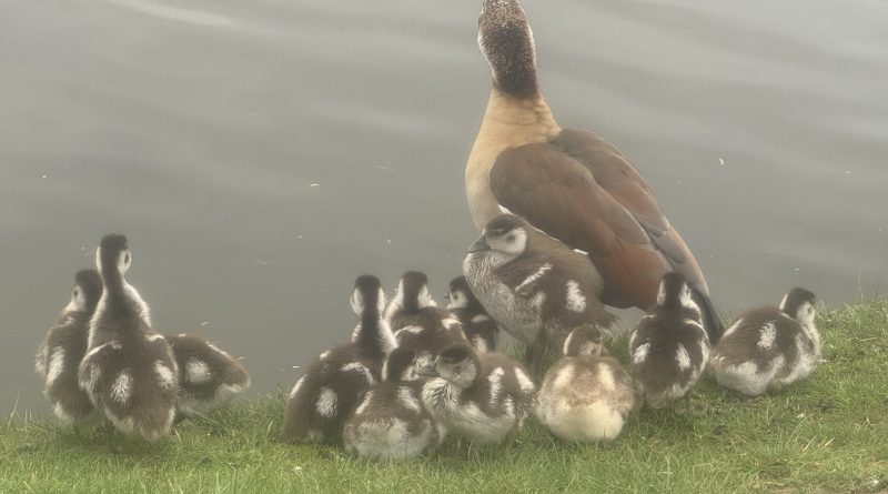 FAMILY OUTING ON GOOD FRIDAY