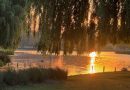 SPECTACULAR SUNRISE IN BUSHY PARK HEATWAVE TODAY