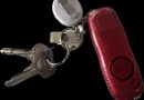 DID YOU LOSE THESE KEYS IN BUSHY PARK TODAY?