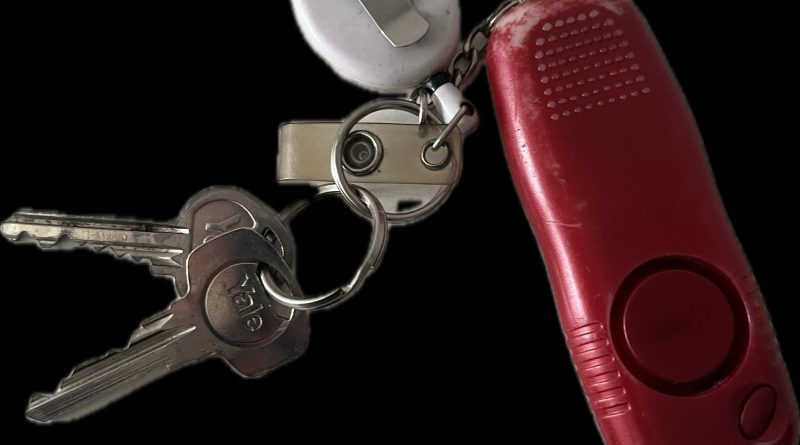 DID YOU LOSE THESE KEYS IN BUSHY PARK TODAY?