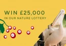 NEW ROYAL PARKS LOTTERY TO PROTECT WILDLIFE AND TREES OF BUSHY PARK