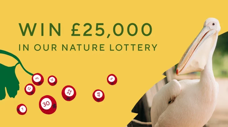 NEW ROYAL PARKS LOTTERY TO PROTECT WILDLIFE AND TREES OF BUSHY PARK
