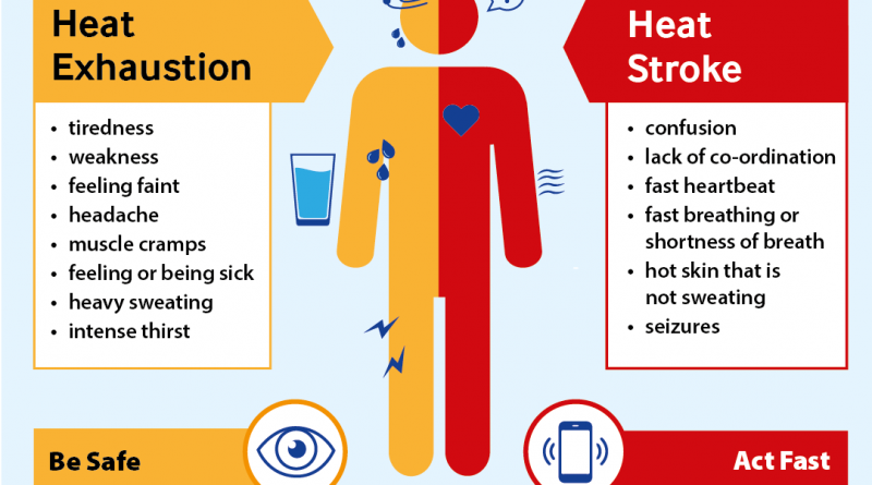 COUNCIL OFFERS TIPS TO BEAT THE HEATWAVE