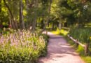 BUSHY PARK RECEIVES TOP GREEN FLAG AWARD
