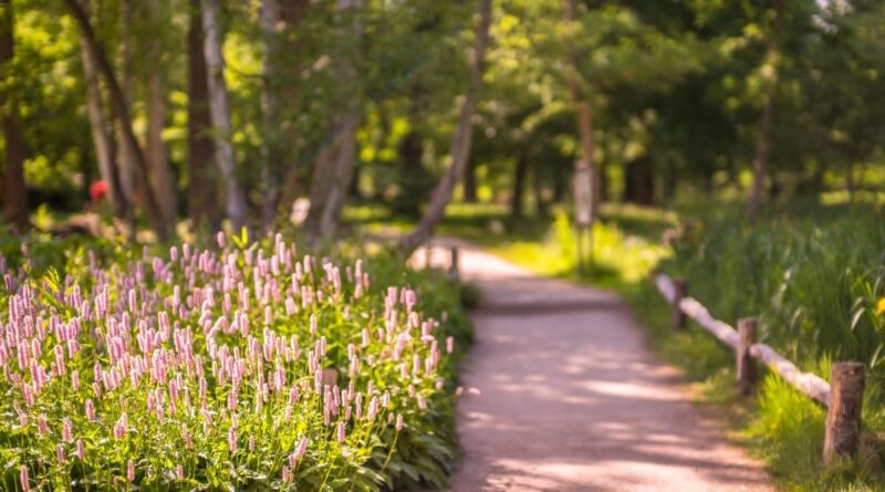 BUSHY PARK RECEIVES TOP GREEN FLAG AWARD