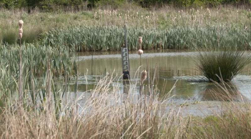 TEDDINGTON HIT BY THAMES WATER TEMPORARY HOSEPIPE BAN
