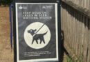 DOGS ON LEADS RULE IN BUSHY PARK ENDS ON FRIDAY