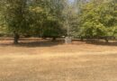 FIRE BREAKS INTRODUCED IN RICHMOND PARK