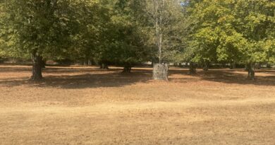 FIRE BREAKS INTRODUCED IN RICHMOND PARK