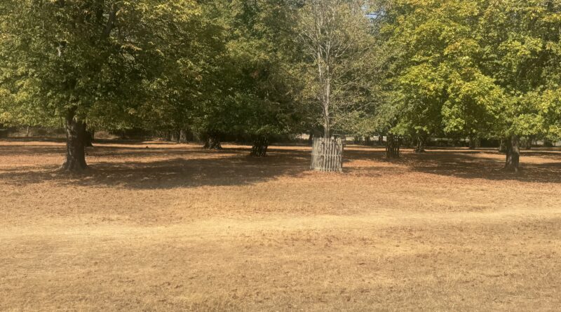 FIRE BREAKS INTRODUCED IN RICHMOND PARK