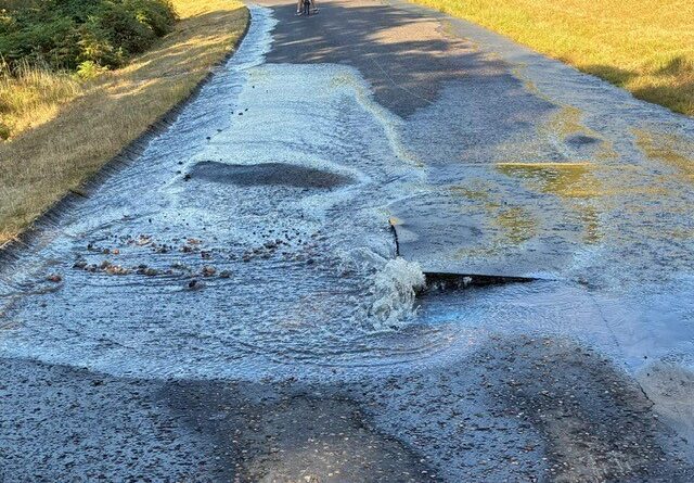 RICHMOND PARK’S HAM GATE CLOSED DUE TO WATER LEAK (Photo Special courtesy of Mike Reilly)