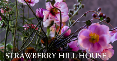 STRAWBERRY HILL HOUSE FLOWER FESTIVAL