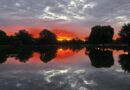 Photo of the week – Taken by Maz Dodson