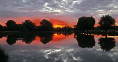 Photo of the week – Taken by Maz Dodson