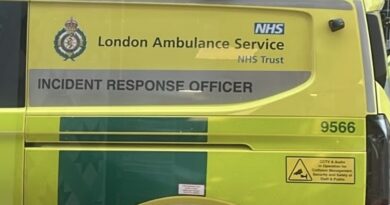NEWS FLASH – Suspected Old Hand Grenade found down an alley on Broad St, Teddington.