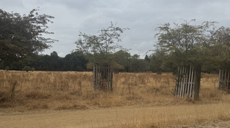 AMBULANCES CALLED TO EMERGENCY IN BUSHY PARK