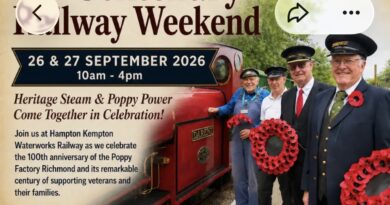 CELEBRATE STEAM AND POPPY POWER