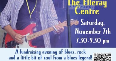 DAVE KELLY DOES ROCK & SOUL AT THE ELLERAY CENTRE