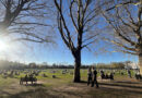 POLICE ISSUE DISPERSAL ORDER FOR RICHMOND GREEN